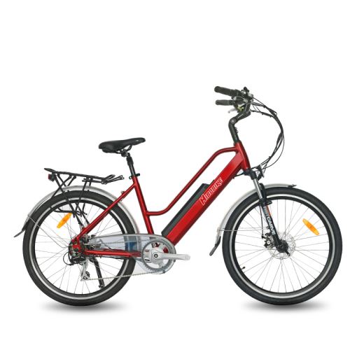 Electric City Bike for Lady