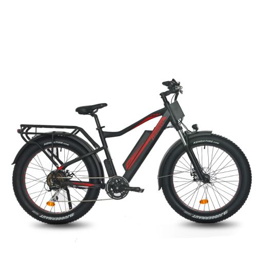 Electric Fat Snow Bike with 26-inch Tyre