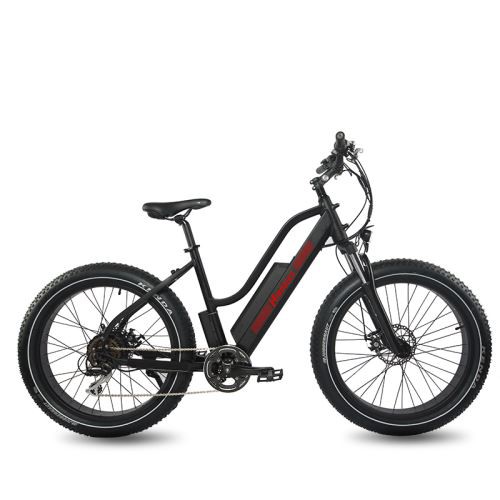 Electric Pedal-Assist Fat Snow Bike